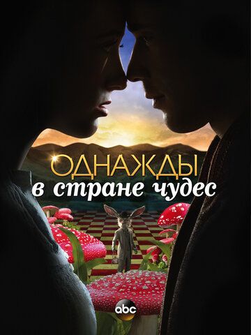 Однажды в стране чудес (2013)